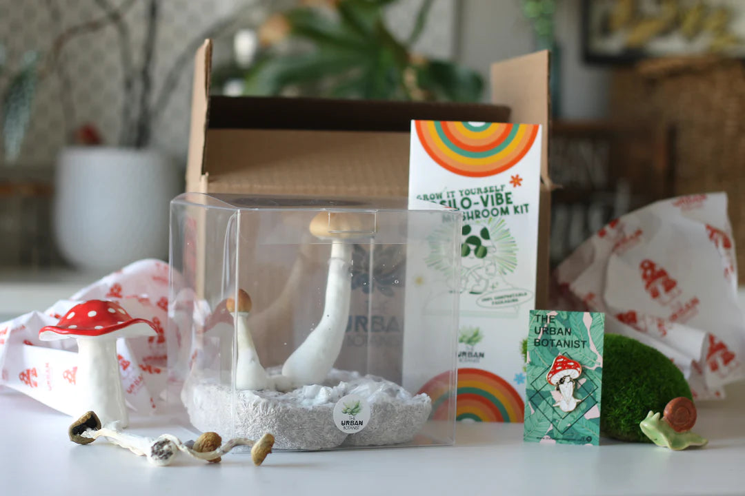 Learn How Mushrooms Grow!