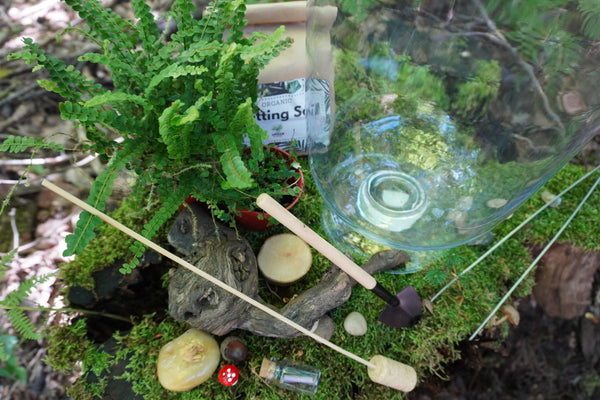 Woodland Terrarium DIY Kit