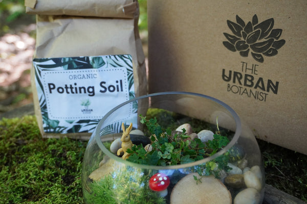Woodland Terrarium DIY Kit