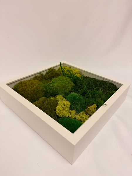 Moss Frame DIY Kit