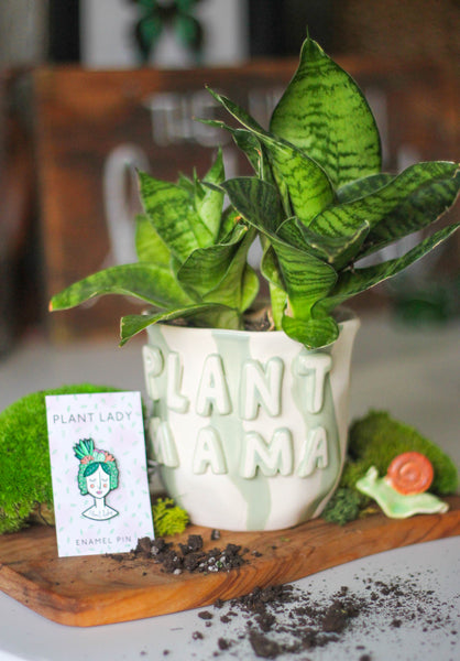 Plant Mama  Plant + Pot + Pin Package