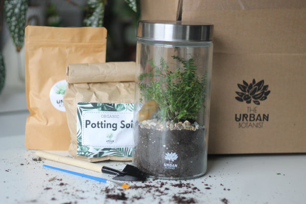 DIY Sealed Terrarium - Master Kit