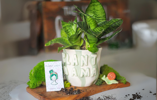 Plant Mama  Plant + Pot + Pin Package