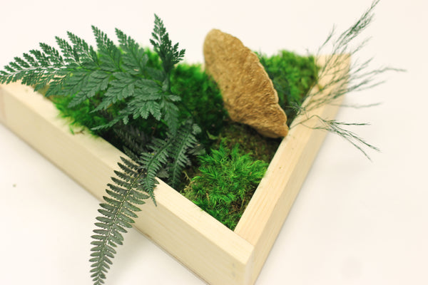 Triangle Moss Frame DIY Kit