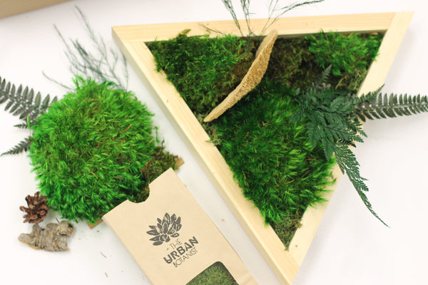 Triangle Moss Frame DIY Kit