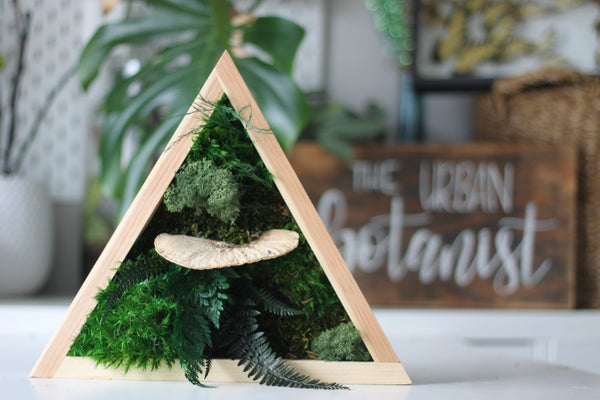 Triangle Moss Frame DIY Kit