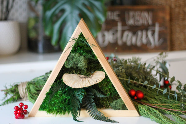 Triangle Moss Frame DIY Kit