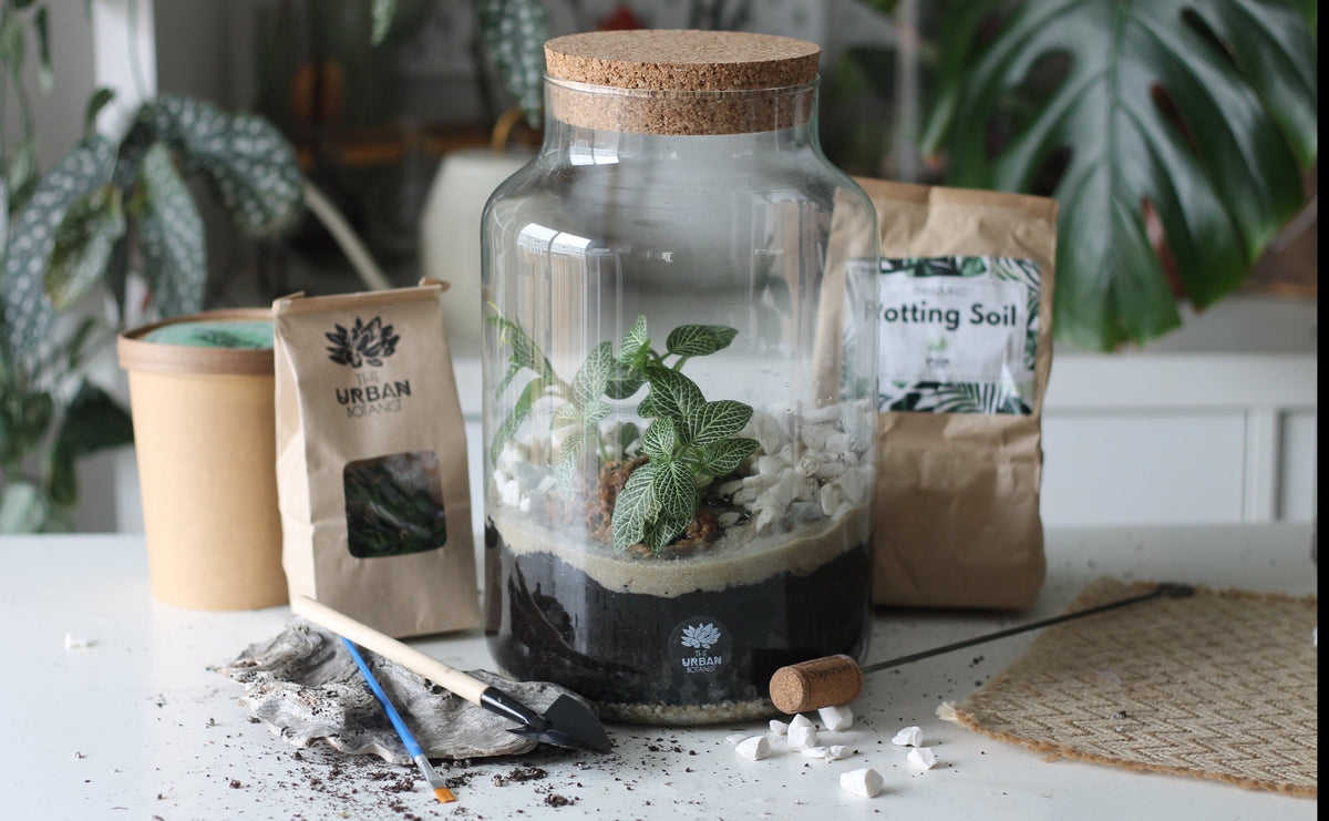 terrarium plants canada DIY Sealed Terrarium | Master Kit