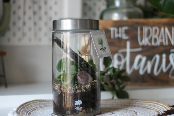DIY Sealed Terrarium - Master Kit