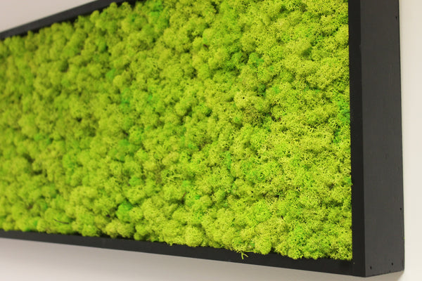 Custom Moss Frame