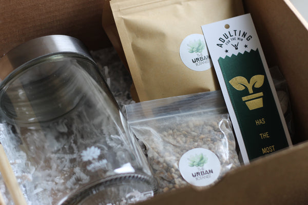 DIY Sealed Terrarium - Master Kit