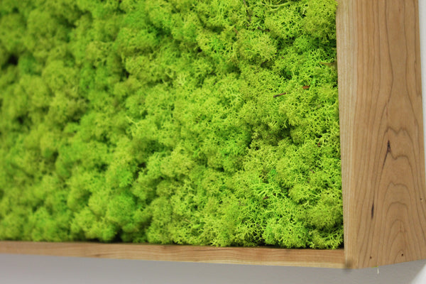 Custom Moss Frame