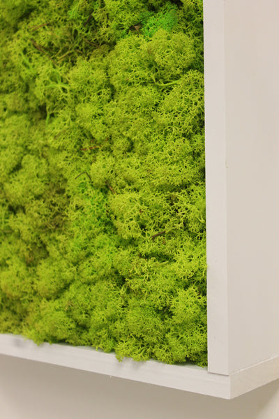 Custom Moss Frame