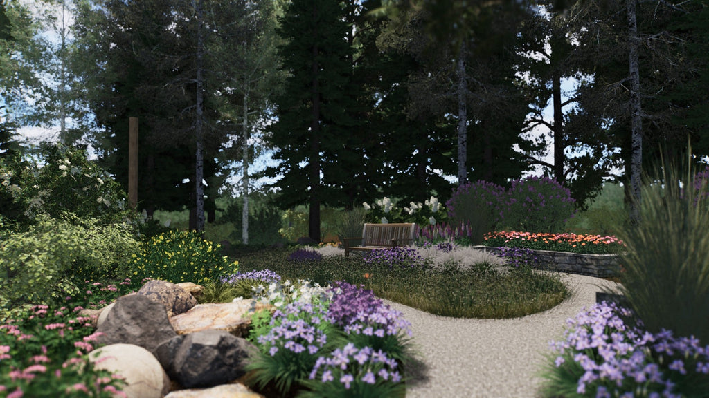 How to Make Your Backyard Eco-Friendly: Beginner Tips for Sustainable, Ecological Landscaping