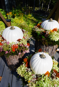 DIY Pumpkin Moss Wreath Centrepiece