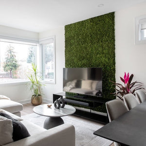 Stunning Preserved Moss Wall Art | Live Green Moss Wall Decor