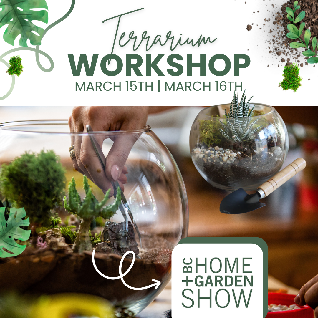 DIY Terrarium Workshop BC Home & Garden Show