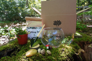 Woodland Terrarium DIY Kit