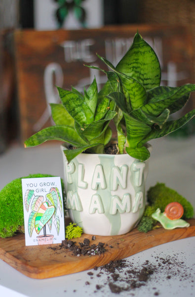 Plant Mama  Plant + Pot + Pin Package