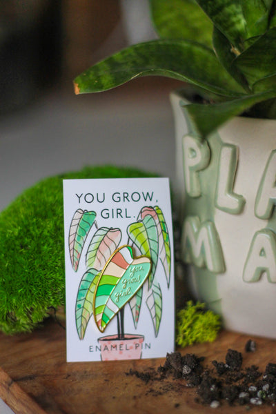 Mother's Day Plant + Pot + Pin Package