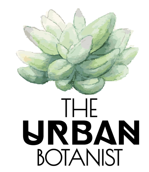 Contact Us The Urban Botanist The Urban Botanist Inc