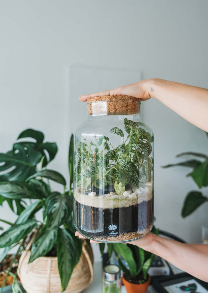 Sealed Terrarium Workshop The Urban Botanist Inc