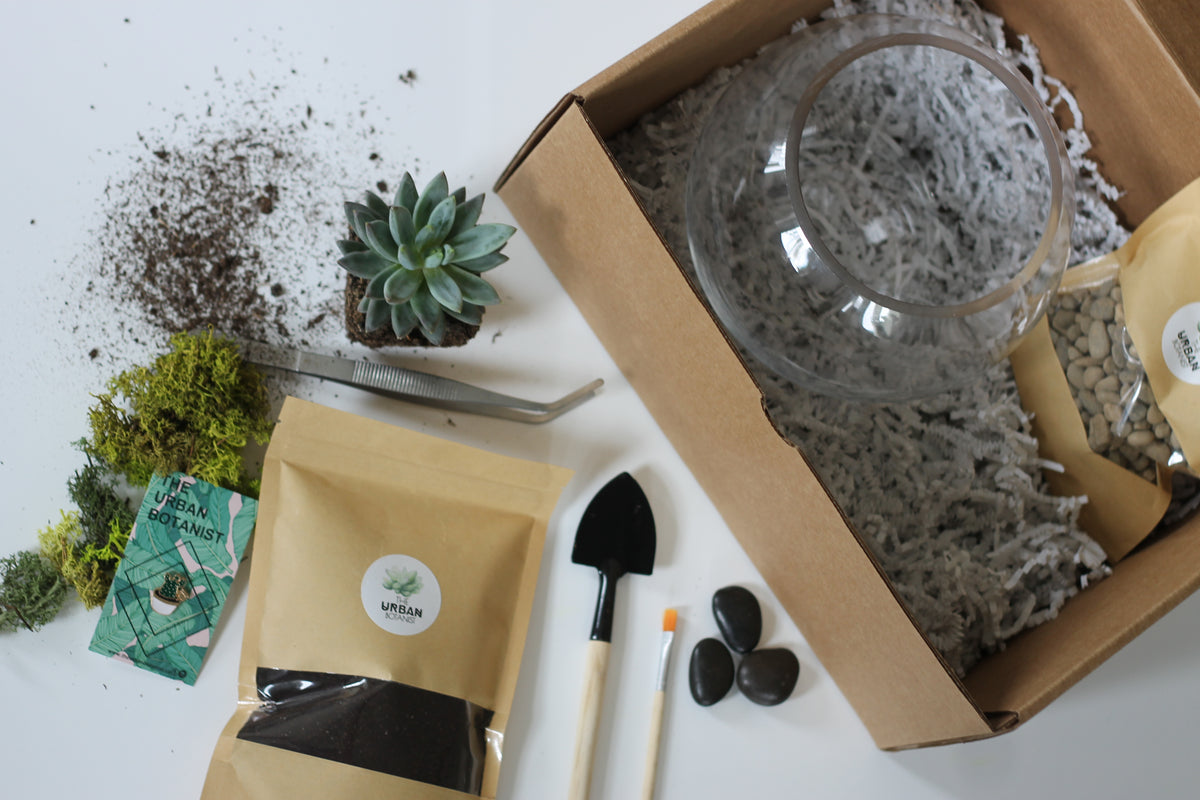 Diy Terrarium - Master Kit – The Urban Botanist Inc