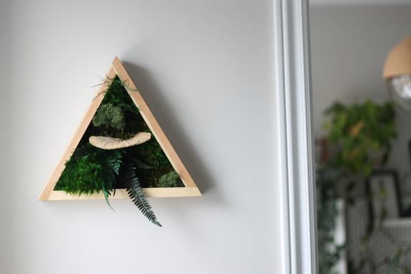 Triangle Moss Frame DIY Kit