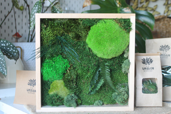 Moss Frame DIY Kit